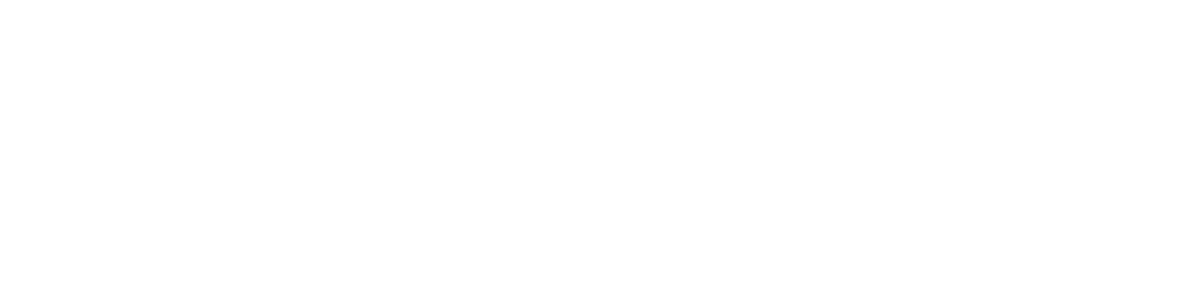 SocialVision